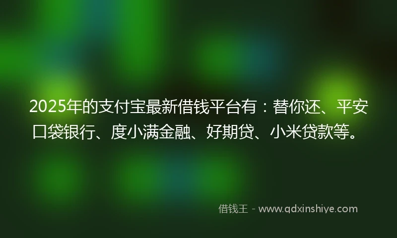 2025年的支付宝最新借钱平台有：替你还、平安口袋银行、度小满金融、好期贷、小米贷款等。