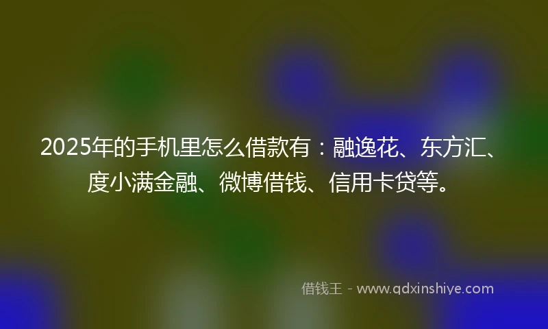 2025年的手机里怎么借款有：融逸花、东方汇、度小满金融、微博借钱、信用卡贷等。