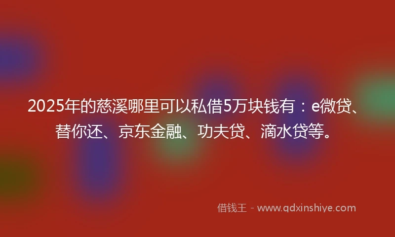 2025年的慈溪哪里可以私借5万块钱有：e微贷、替你还、京东金融、功夫贷、滴水贷等。