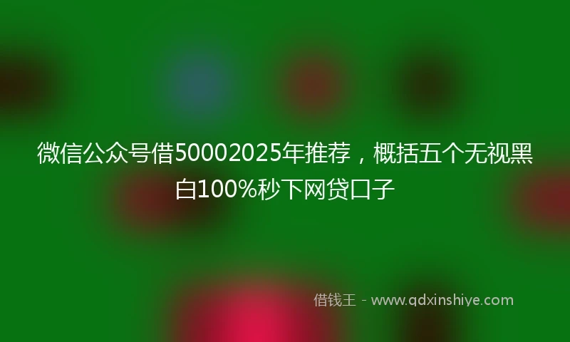 微信公众号借50002025年推荐,概括五个无视黑白100%秒下网贷口子