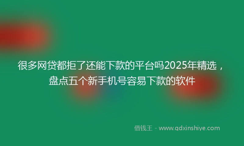 很多网贷都拒了还能下款的平台吗2025年精选,盘点五个新手机号容易下款的软件