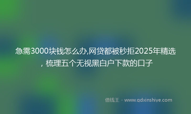 急需3000块钱怎么办,网贷都被秒拒2025年精选，梳理五个无视黑白户下款的口子