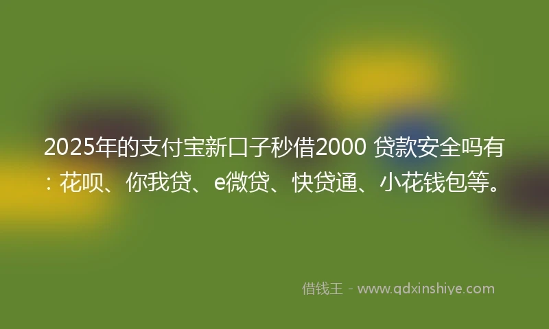 2025年的支付宝新口子秒借2000 贷款安全吗有：花呗、你我贷、e微贷、快贷通、小花钱包等。