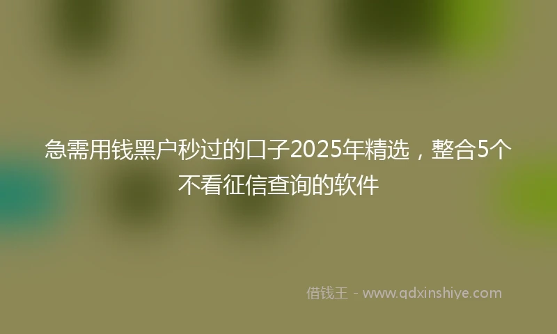 急需用钱黑户秒过的口子2025年精选，整合5个不看征信查询的软件