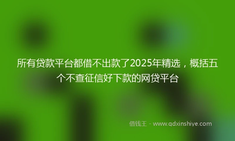 所有贷款平台都借不出款了2025年精选，概括五个不查征信好下款的网贷平台