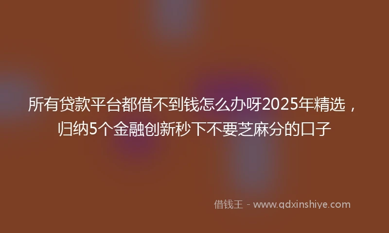 所有贷款平台都借不到钱怎么办呀2025年精选，归纳5个金融创新秒下不要芝麻分的口子