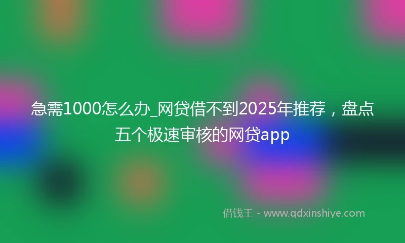 急需1000怎么办_网贷借不到2025年推荐，盘点五个极速审核的网贷app