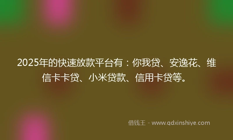 2025年的快速放款平台有：你我贷、安逸花、维信卡卡贷、小米贷款、信用卡贷等。
