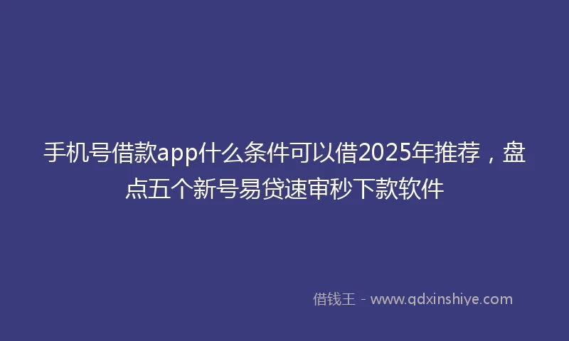 手机号借款app什么条件可以借2025年推荐，盘点五个新号易贷速审秒下款软件