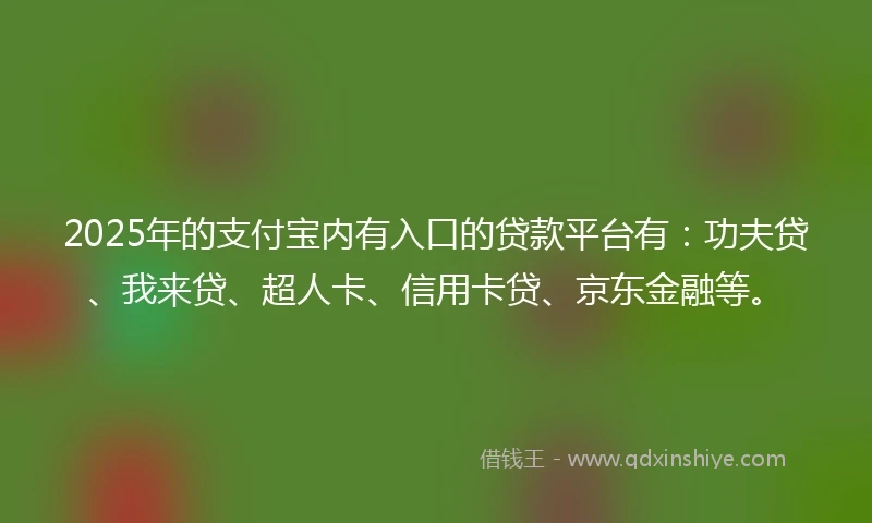 2025年的支付宝内有入口的贷款平台有：功夫贷、我来贷、超人卡、信用卡贷、京东金融等。
