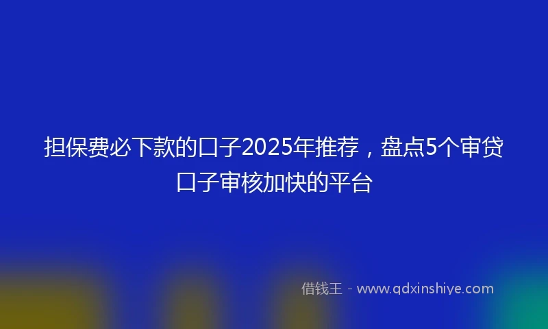 担保费必下款的口子2025年推荐，盘点5个审贷口子审核加快的平台