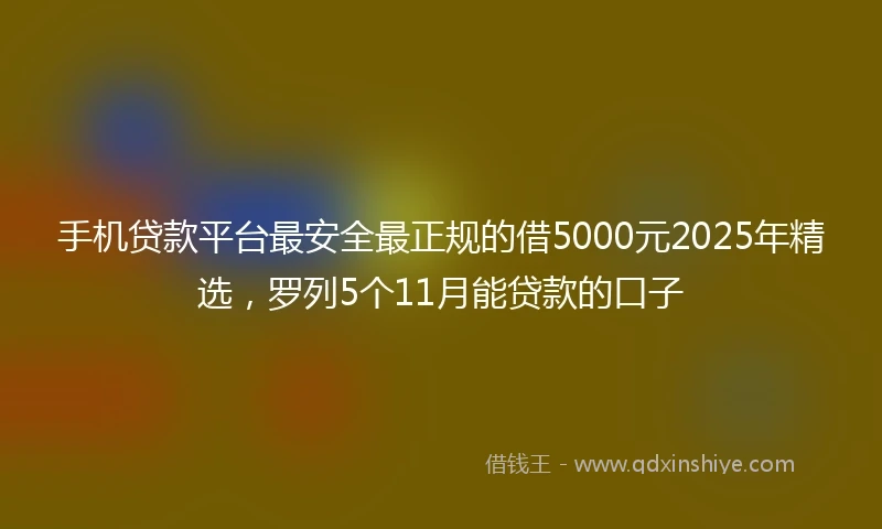 手机贷款平台最安全最正规的借5000元2025年精选，罗列5个11月能贷款的口子