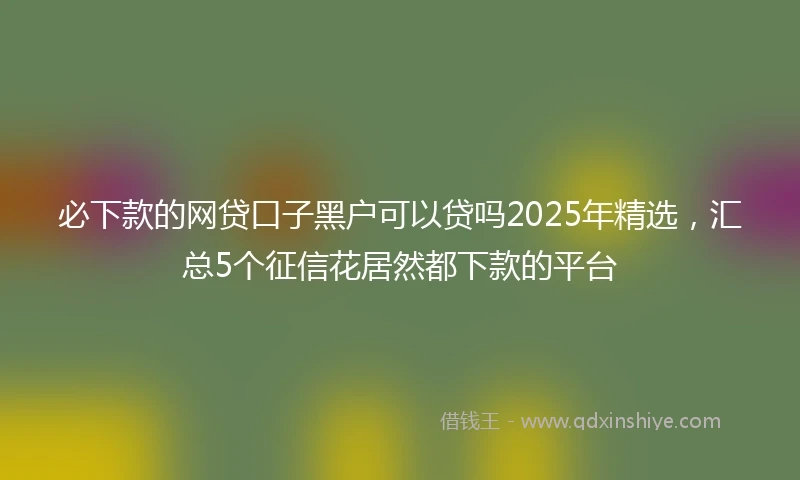 必下款的网贷口子黑户可以贷吗2025年精选，汇总5个征信花居然都下款的平台