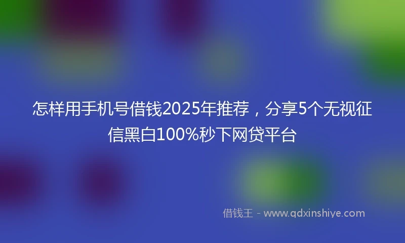 怎样用手机号借钱2025年推荐，分享5个无视征信黑白100%秒下网贷平台