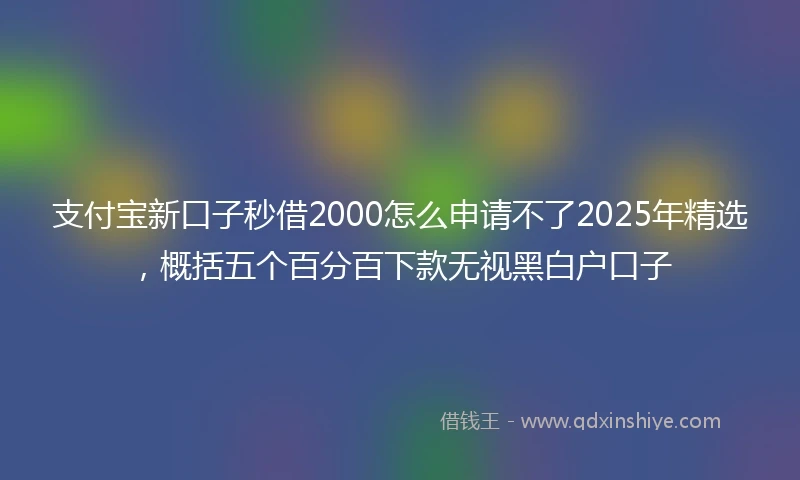 支付宝新口子秒借2000怎么申请不了2025年精选，概括五个百分百下款无视黑白户口子