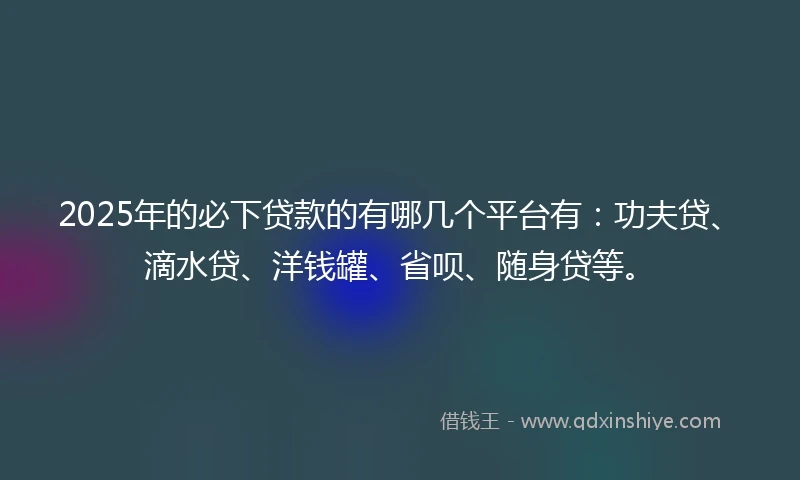 2025年的必下贷款的有哪几个平台有：功夫贷、滴水贷、洋钱罐、省呗、随身贷等。