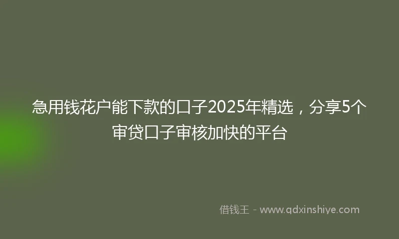 急用钱花户能下款的口子2025年精选，分享5个审贷口子审核加快的平台
