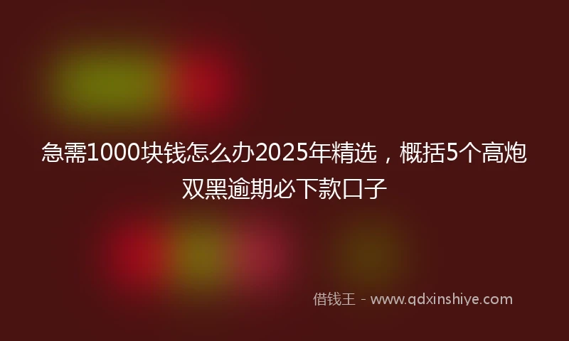 急需1000块钱怎么办2025年精选，概括5个高炮双黑逾期必下款口子