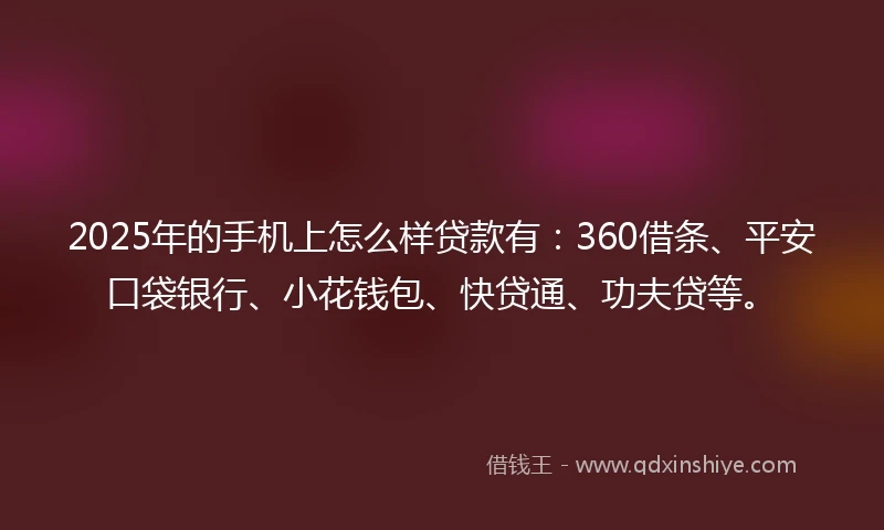 2025年的手机上怎么样贷款有：360借条、平安口袋银行、小花钱包、快贷通、功夫贷等。