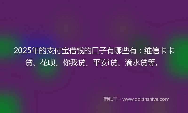 2025年的支付宝借钱的口子有哪些有：维信卡卡贷、花呗、你我贷、平安i贷、滴水贷等。