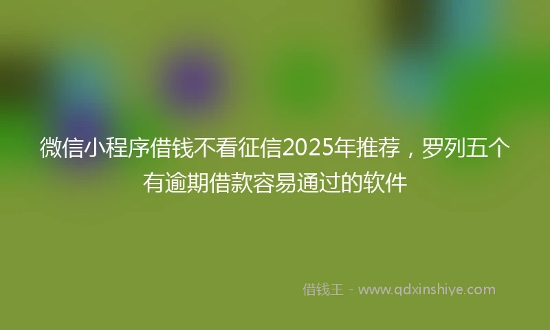 微信小程序借钱不看征信2025年推荐，罗列五个有逾期借款容易通过的软件