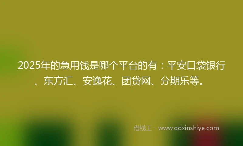 2025年的急用钱是哪个平台的有：平安口袋银行、东方汇、安逸花、团贷网、分期乐等。