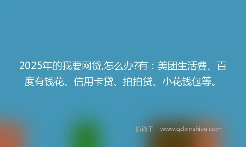 2025年的我要网贷,怎么办?有：美团生活费、百度有钱花、信用卡贷、拍拍贷、小花钱包等。