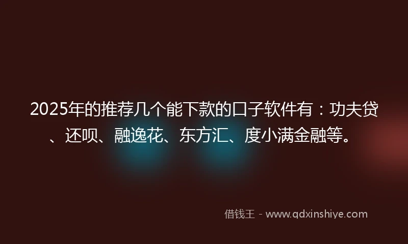 2025年的推荐几个能下款的口子软件有：功夫贷、还呗、融逸花、东方汇、度小满金融等。