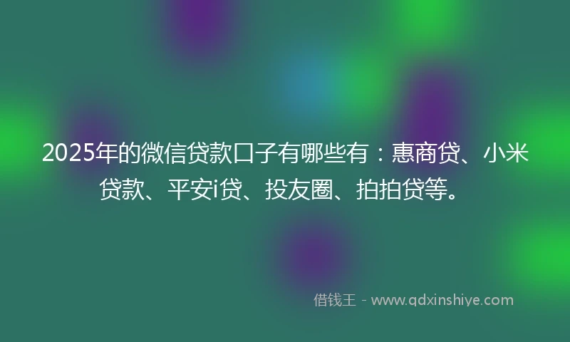 2025年的微信贷款口子有哪些有：惠商贷、小米贷款、平安i贷、投友圈、拍拍贷等。
