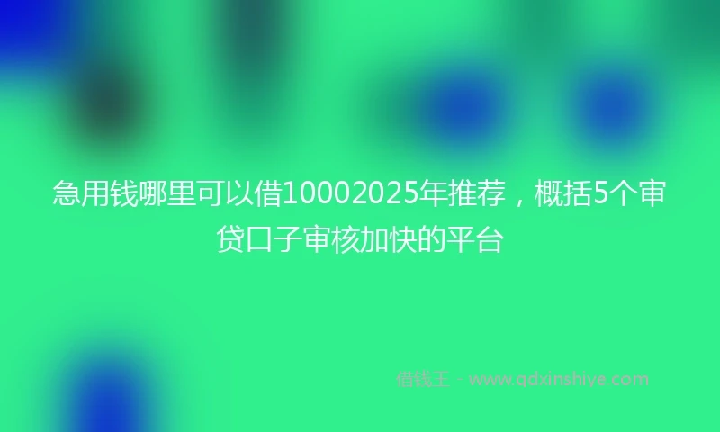 急用钱哪里可以借10002025年推荐，概括5个审贷口子审核加快的平台