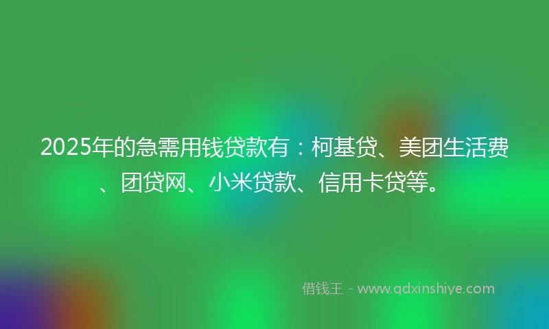 2025年的急需用钱贷款有：柯基贷、美团生活费、团贷网、小米贷款、信用卡贷等。