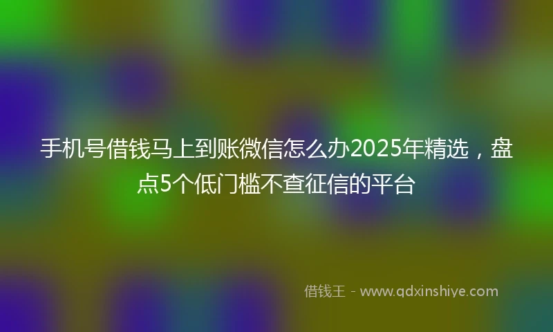 手机号借钱马上到账微信怎么办2025年精选，盘点5个低门槛不查征信的平台