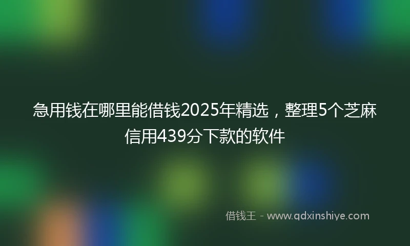 急用钱在哪里能借钱2025年精选，整理5个芝麻信用439分下款的软件