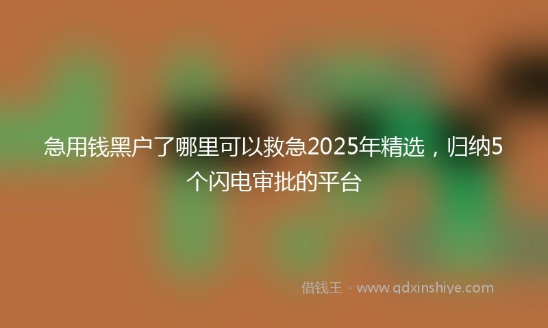 急用钱黑户了哪里可以救急2025年精选，归纳5个闪电审批的平台