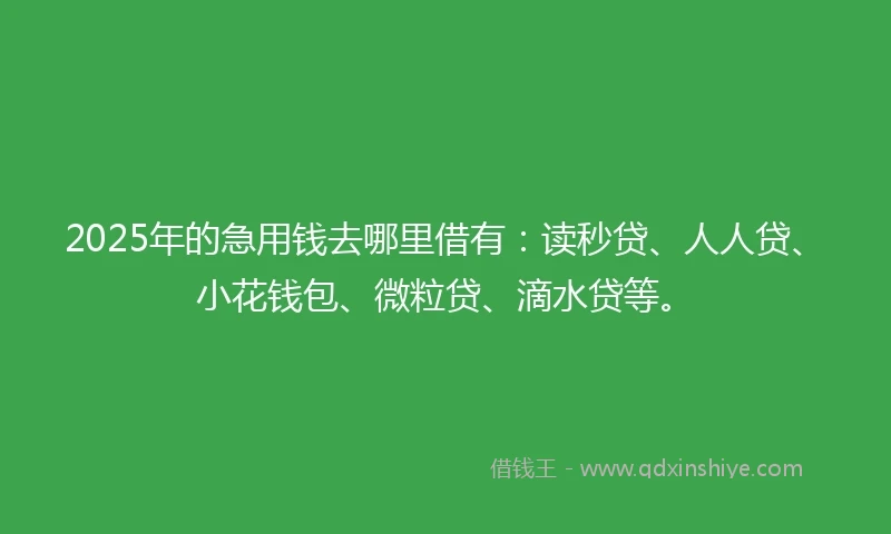 2025年的急用钱去哪里借有：读秒贷、人人贷、小花钱包、微粒贷、滴水贷等。