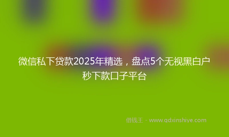 微信私下贷款2025年精选，盘点5个无视黑白户秒下款口子平台