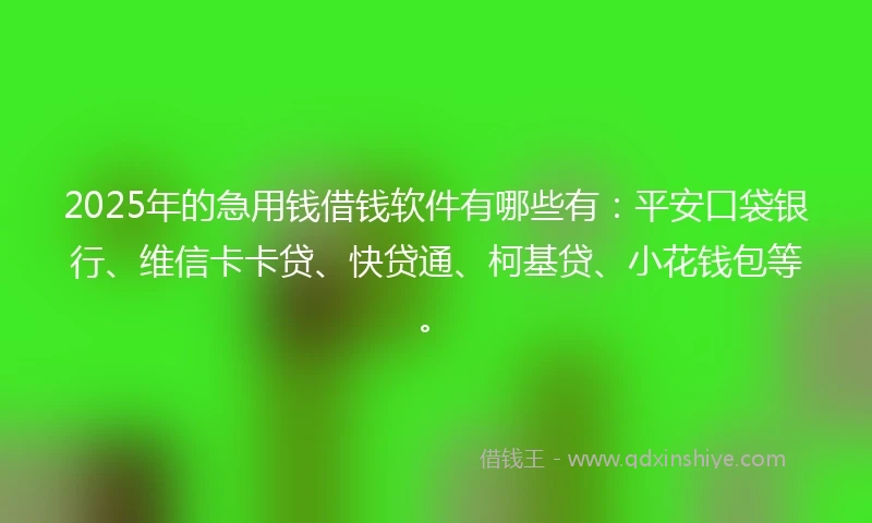 2025年的急用钱借钱软件有哪些有：平安口袋银行、维信卡卡贷、快贷通、柯基贷、小花钱包等。