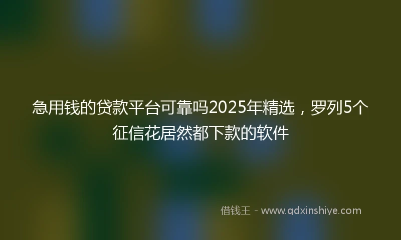 急用钱的贷款平台可靠吗2025年精选，罗列5个征信花居然都下款的软件