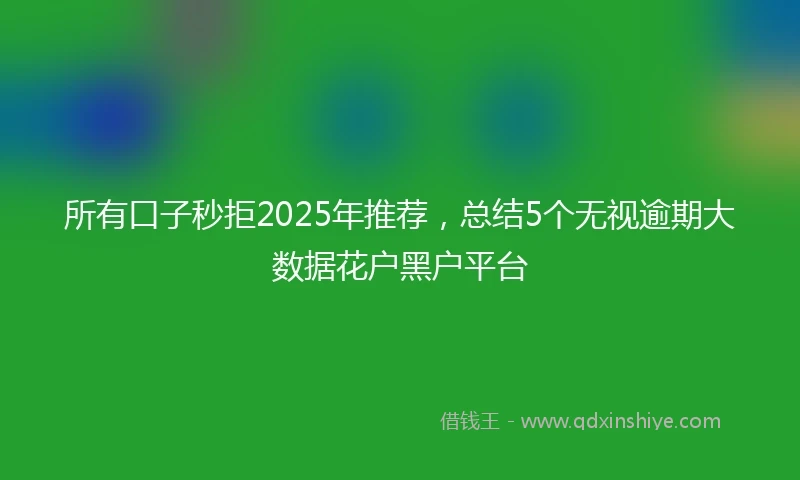 所有口子秒拒2025年推荐,总结5个无视逾期大数据花户黑户平台