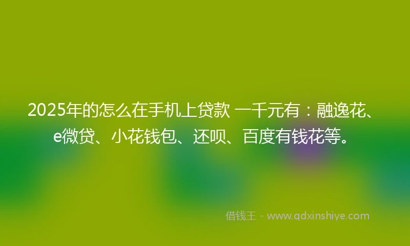 2025年的怎么在手机上贷款 一千元有：融逸花、e微贷、小花钱包、还呗、百度有钱花等。