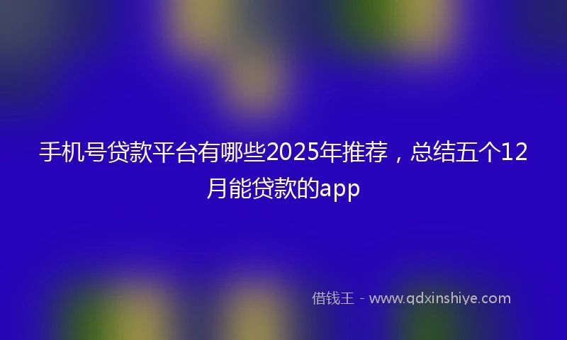 手机号贷款平台有哪些2025年推荐，总结五个12月能贷款的app