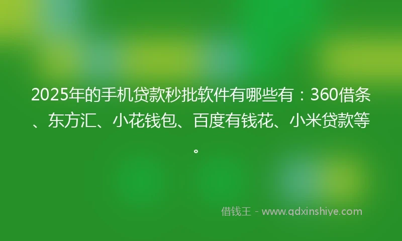 2025年的手机贷款秒批软件有哪些有：360借条、东方汇、小花钱包、百度有钱花、小米贷款等。