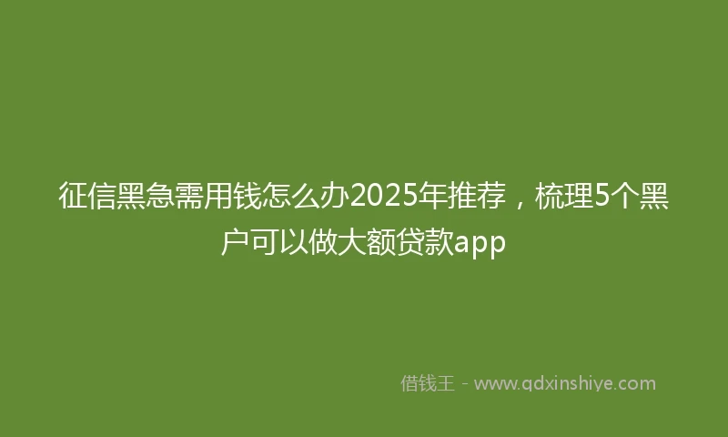 征信黑急需用钱怎么办2025年推荐,梳理5个黑户可以做大额贷款app