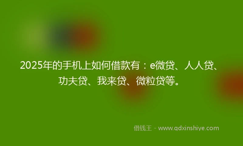 2025年的手机上如何借款有：e微贷、人人贷、功夫贷、我来贷、微粒贷等。