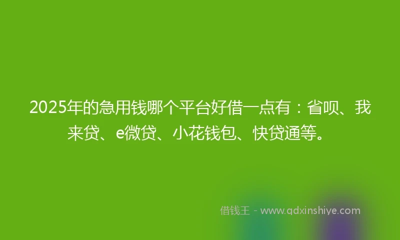 2025年的急用钱哪个平台好借一点有：省呗、我来贷、e微贷、小花钱包、快贷通等。