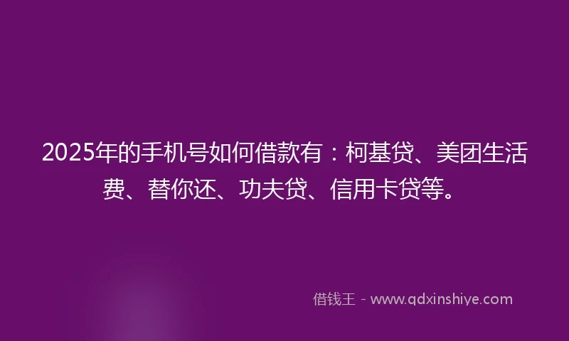 2025年的手机号如何借款有：柯基贷、美团生活费、替你还、功夫贷、信用卡贷等。