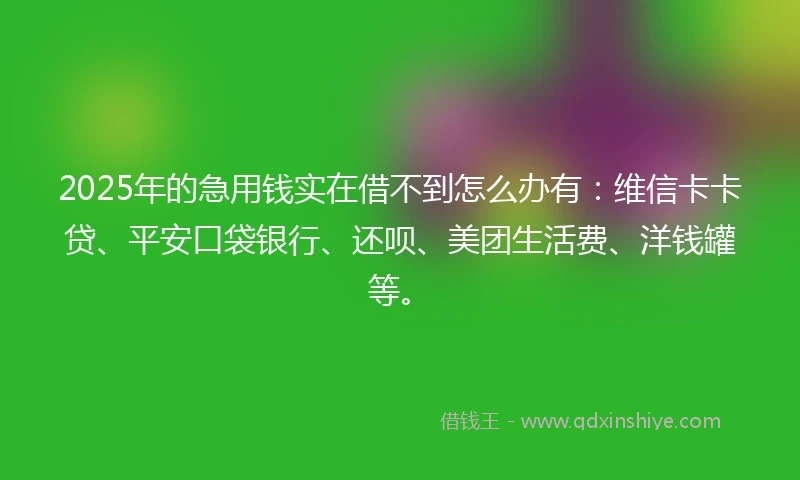 2025年的急用钱实在借不到怎么办有：维信卡卡贷、平安口袋银行、还呗、美团生活费、洋钱罐等。