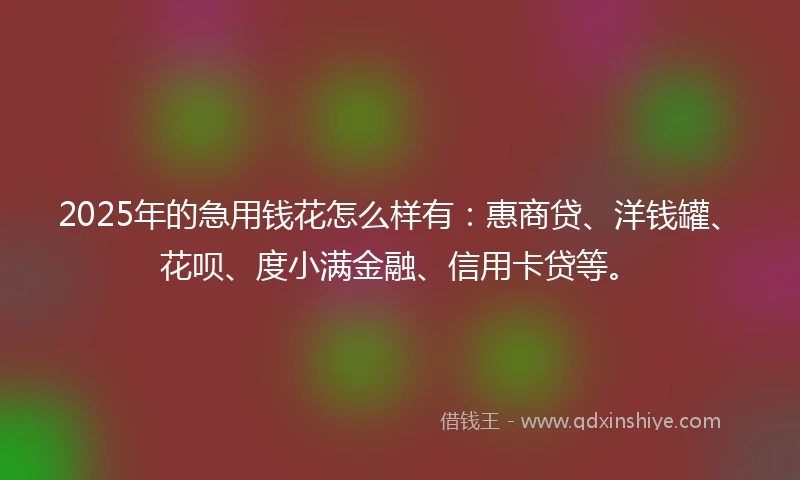2025年的急用钱花怎么样有：惠商贷、洋钱罐、花呗、度小满金融、信用卡贷等。
