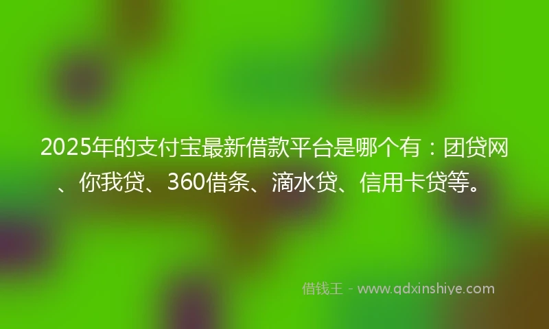 2025年的支付宝最新借款平台是哪个有：团贷网、你我贷、360借条、滴水贷、信用卡贷等。
