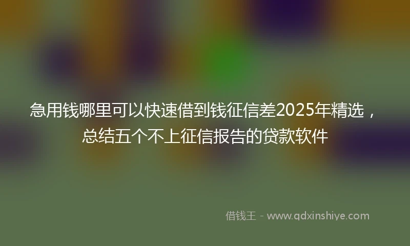 急用钱哪里可以快速借到钱征信差2025年精选，总结五个不上征信报告的贷款软件